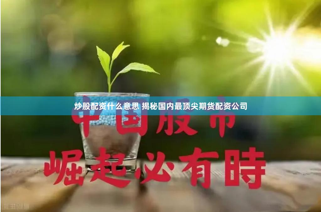 炒股配资什么意思 揭秘国内最顶尖期货配资公司