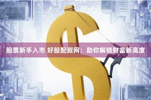 股票新手入市 好股配资网：助你解锁财富新高度